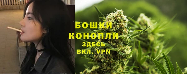 индика Липки