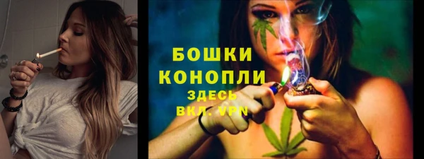 спиды Лиски