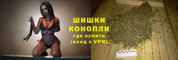 индика Липки