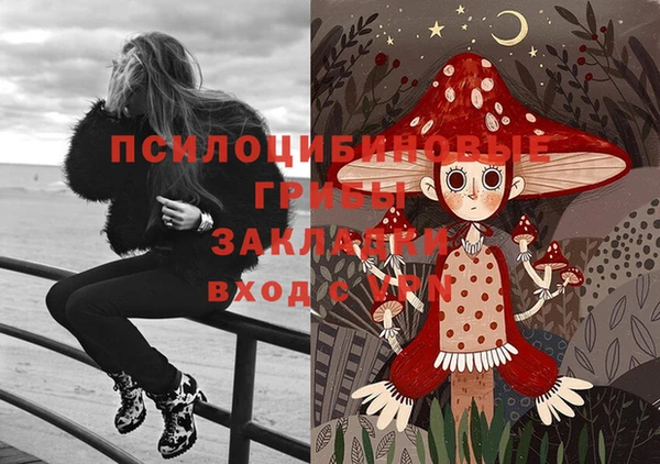 индика Липки