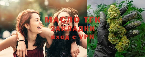 индика Липки