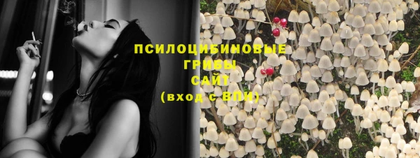 индика Липки