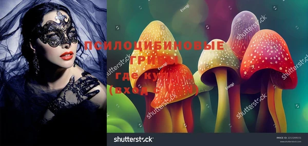 спиды Лиски