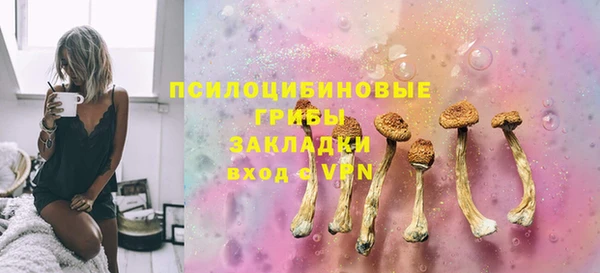 спиды Лиски