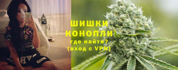 индика Липки