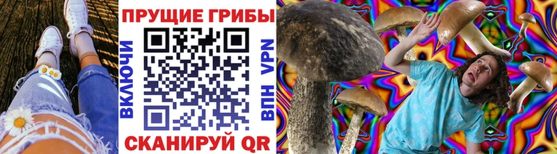 где купить   Дятьково  Галлюциногенные грибы Cubensis 