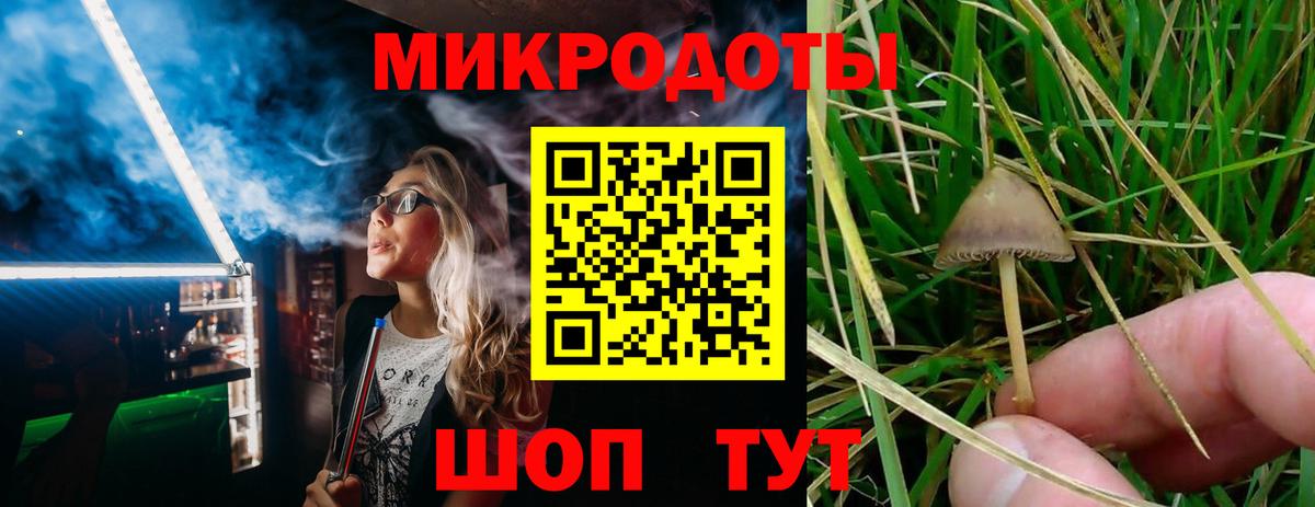 Галлюциногенные грибы GOLDEN TEACHER  Вход с VPN  Дятьково 