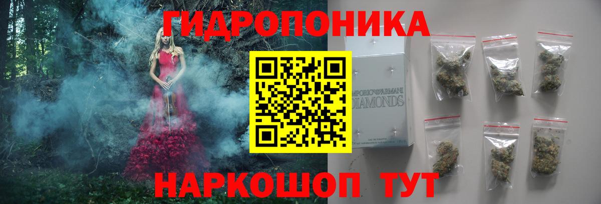 Конопля MAZAR  МАРИХУАНА семена  Дятьково  Шишки марихуана Ganja 